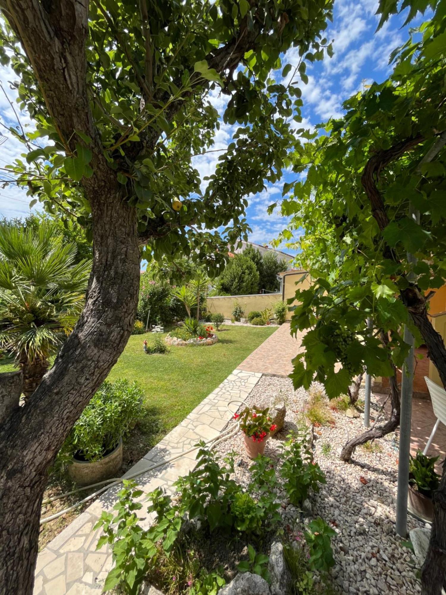 Apartments And Rooms Markovski Palit Экстерьер фото